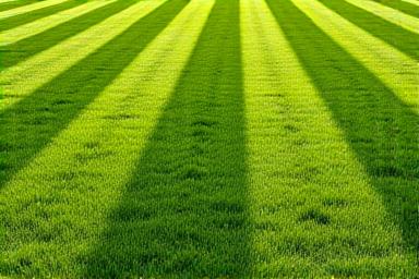 Freshly mown lawn with perfect stripes